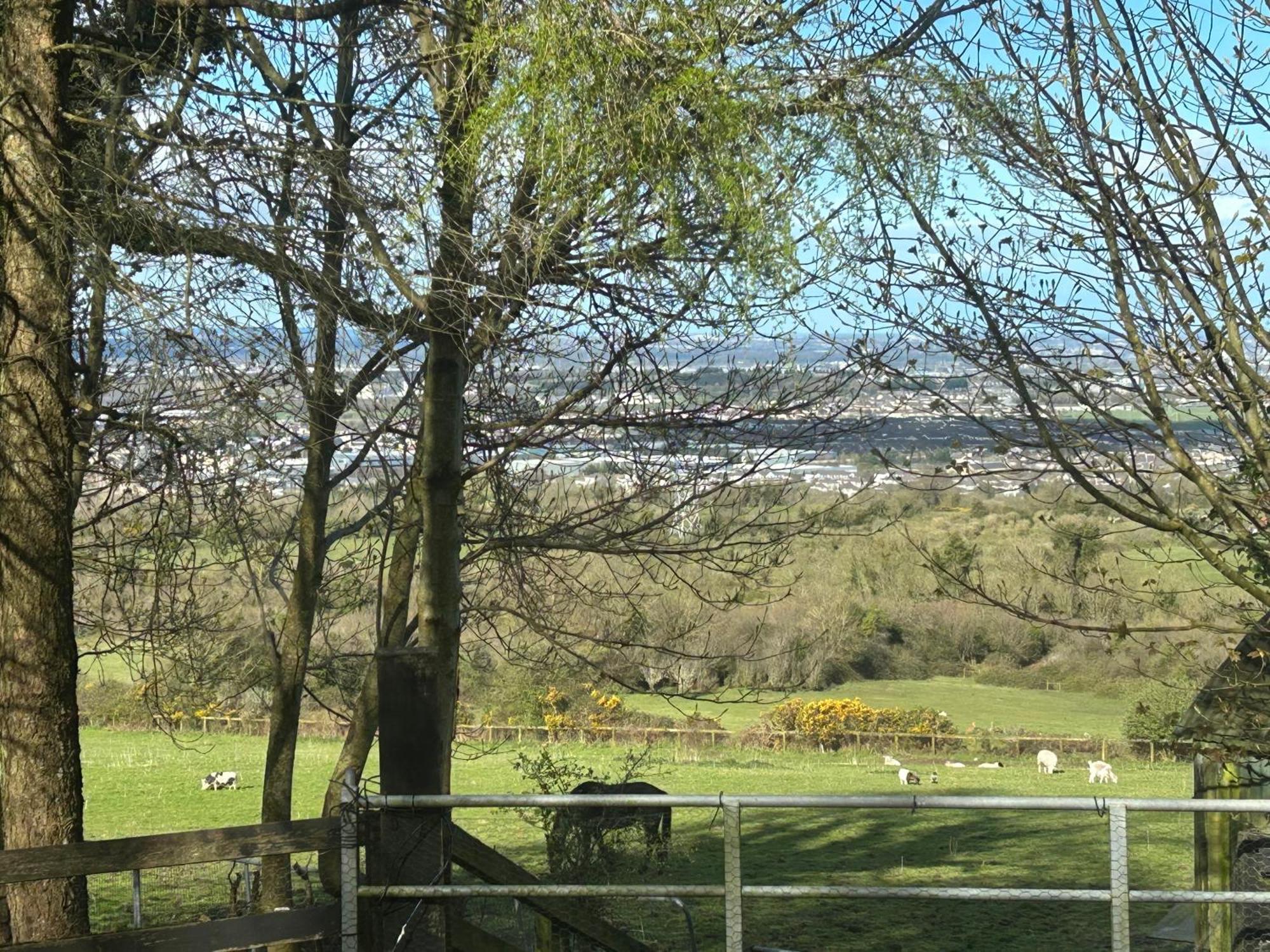 Cozy Room In A Barn With Farm View Dublin Eksteriør bilde
